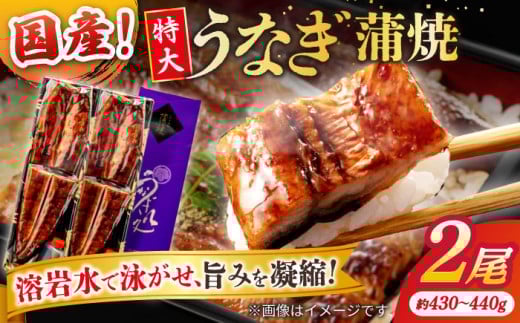 【お中元対象】うなぎ老舗専門店のパリっとふっくら国産うなぎ 蒲焼2尾(蒲焼のタレ付き) 島根県松江市/株式会社山美世商会 [ALDC001]｜国産 うなぎ ウナギ 鰻 特大 蒲焼き 蒲焼 国産 冷凍 うな重 ひつまぶし 丑の日 土用の丑の日 人気