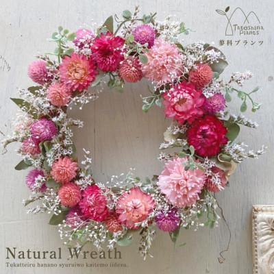 ふるさと納税 茅野市 信州八ヶ岳の麓から贈るドライフラワーリースS(ピンク)