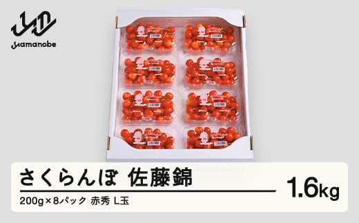 先行予約 さくらんぼ 佐藤錦 赤秀品 L玉 200g×8パック ご家庭用 2025年産 令和7年産 山形県産 mm-snplx1600