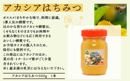 アカシアはちみつ500g 【 ふるさと納税 人気 おすすめ ランキング 国産 はちみつ ハチミツ 蜂蜜 アカシア 500g 1本 瓶入り おいらせ 青森 青森県産 青森県 おいらせ町 送料無料 】 O