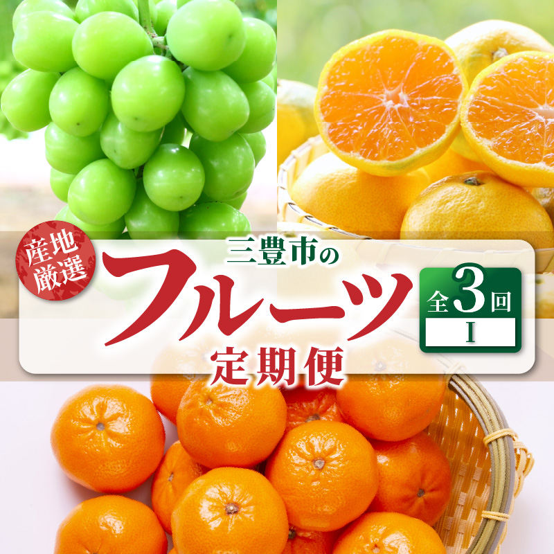 【ふるさと納税】【配送不可地域：北海道・沖縄県・離島】定期便 3回 フルーツ シャインマスカット 1房 ゆら早生みかん 果汁たっぷり 小原紅早生みかん みかん 果物 甘くて濃い 濃厚 オリジナルみかん