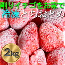 【ふるさと納税】農家直送!削りイチゴパフェも楽しめるBELL FARMの美味しい冷凍いちご2kg【苺1kg×2箱】【配送不可地域：離島】【1013445】