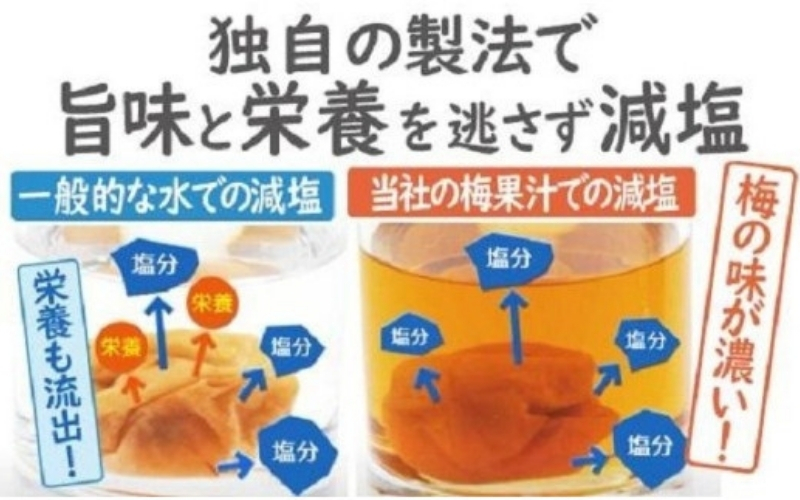 梅満喫セット 特選A級 紀州南高梅 味わい4種800g 千年の知恵 梅干し 梅札 和歌山県産 【hoso015A】