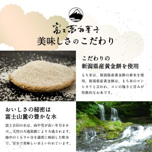 一升餅 ベビー 誕生日 お祝いセット 切餅 リュック付き 紅白もち