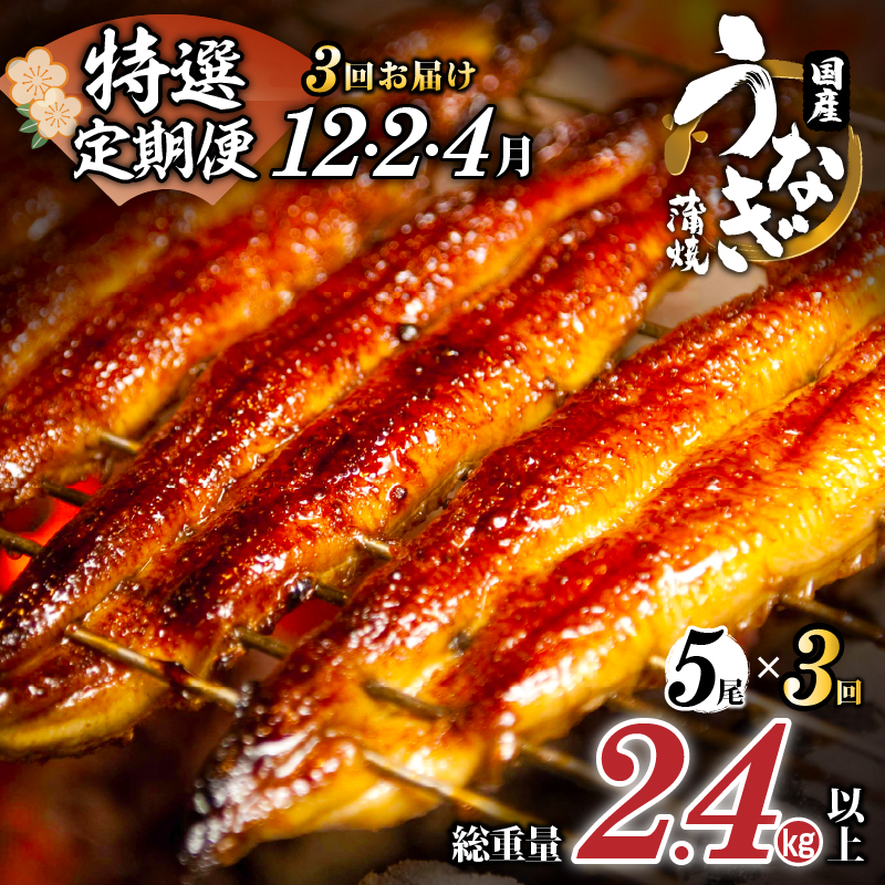 先行予約≪定期便全3回≫12月・2月・4月お届け!!うなぎ蒲焼5尾(総重量2.4kg以上) 鰻 魚 魚介 加工品 国産_T026-0053