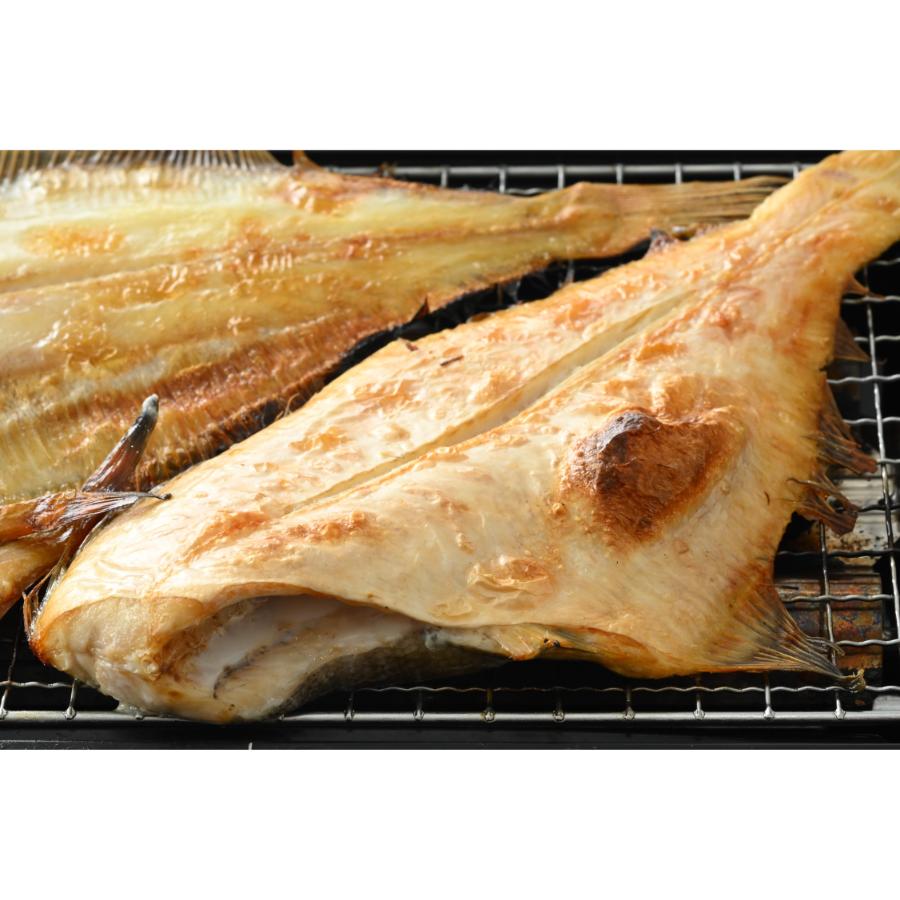 ＜福丸ごーじょーもん＞【訳あり】国産干物 2kg 越前町産カレイ 一夜干し干物 無添加 15尾以上