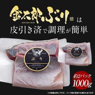 宮崎産 新海屋 鰤屋金太郎 金太郎ぶり 1000g 冷蔵 N018-ZB314_1