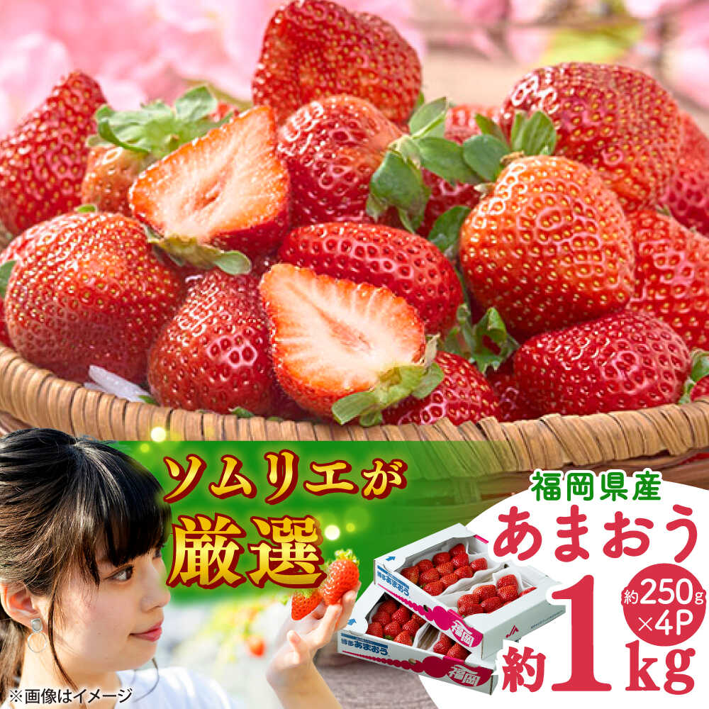 【ふるさと納税】【2025年12月上旬より順次発送】福岡産【冬】 あまおう 4パック 吉富町/南国フルーツ株式会社[BGAG027] 果物 フルーツ デザート いちご イチゴ 苺 あまおう 人気 美味しい ふるさと納税