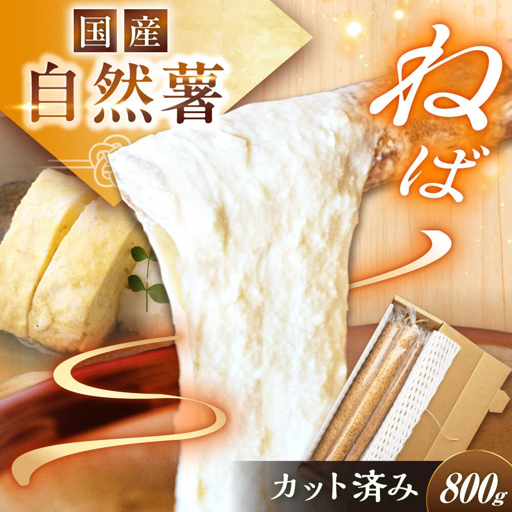 【ふるさと納税】【定番人気】自然薯 中（800g）/ 自然薯 じねんじょ 山芋 やまいも 贈答 / 恵那市 / 水戸屋[AUFZ009]