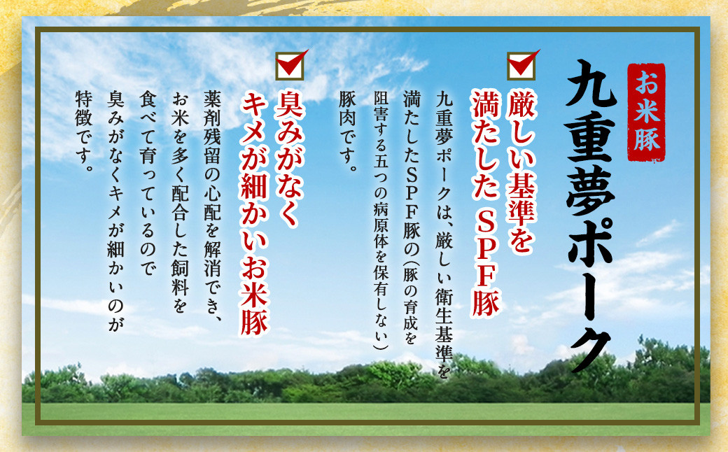 【6ヶ月定期便】交互に届く 九重 夢ポーク ・ 豊後牛 切り落とし 6回 計15.6kg 定期便 豚肉 牛肉 大分県産 国産