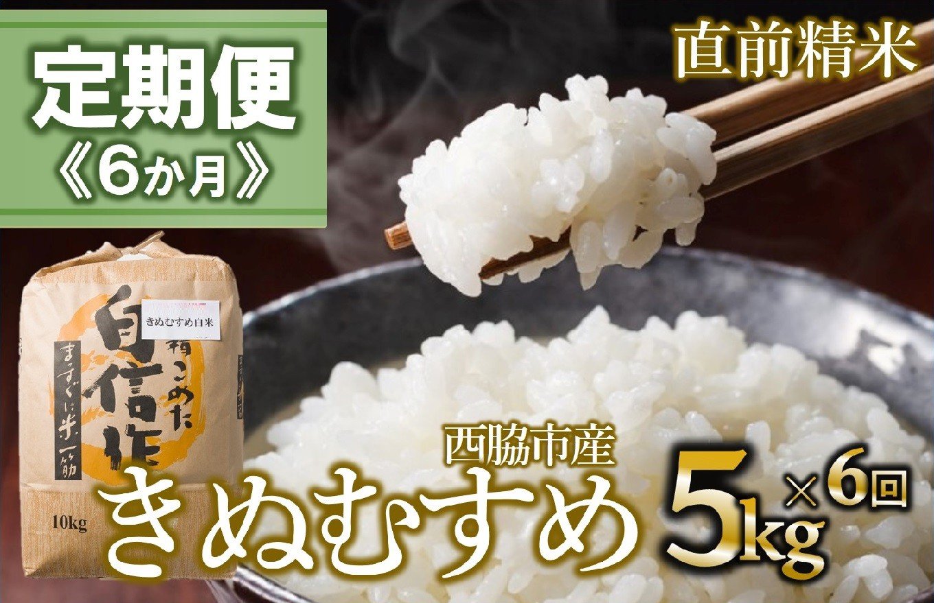 
                  【定期便 6か月 きぬむすめ】白米5kg（6か月連続お届け）新米 2025年産  米 お米 米5㎏ お米5㎏ 兵庫県産 きぬむすめ キヌムスメ 西脇市産 定期 連続 6回 6か月 令和7年産 精米 便利 らくちん ラク
                