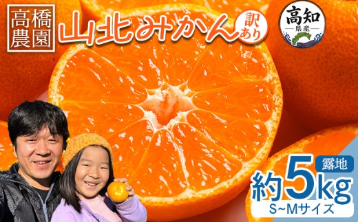 
                  【2026年11月中旬より順次配送】訳あり みかん 5kg 山北みかん 家庭用 露地(Ｓ～Ｍ) 高橋農園 - 小傷あり 送料無料 露地栽培 柑橘 果物 フルーツ ミカン 蜜柑 期間限定 季節限定 家庭用 国産 特産品 高橋農園 糖度 甘い 人気 高知県 香南市 小玉 みかん th-0030
                