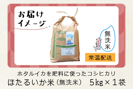 【訳あり】ほたるいか米（無洗米５kg）【通年発送】 　ホタルイカを肥料に使ったコシヒカリ