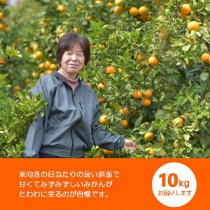 温州みかん 富田林市東條産10kg 【菊水園】 甘い美味しい みずみずしいと人気の柑橘です。_果物・フルーツ みかん  ミカン 蜜柑_【1284423】