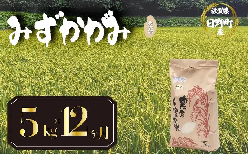 【先行予約】令和8年産 新米 みずかがみ 5kg 定期便 12ヶ月 玄米 米 