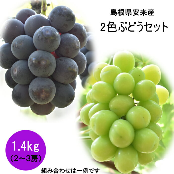 【ふるさと納税】2色詰め安来ぶどう詰合せ 約1.4kg ／【8月中旬～9月上旬発送】／ 2～3房 ピオーネ 巨峰 クインニーナ 安芸クイーン シャインマスカット 瀬戸ジャイアンツ 2種 お任せ 旬 詰め合わせ 先行 予約 冷蔵配送 フルーツ 島根県 安来市