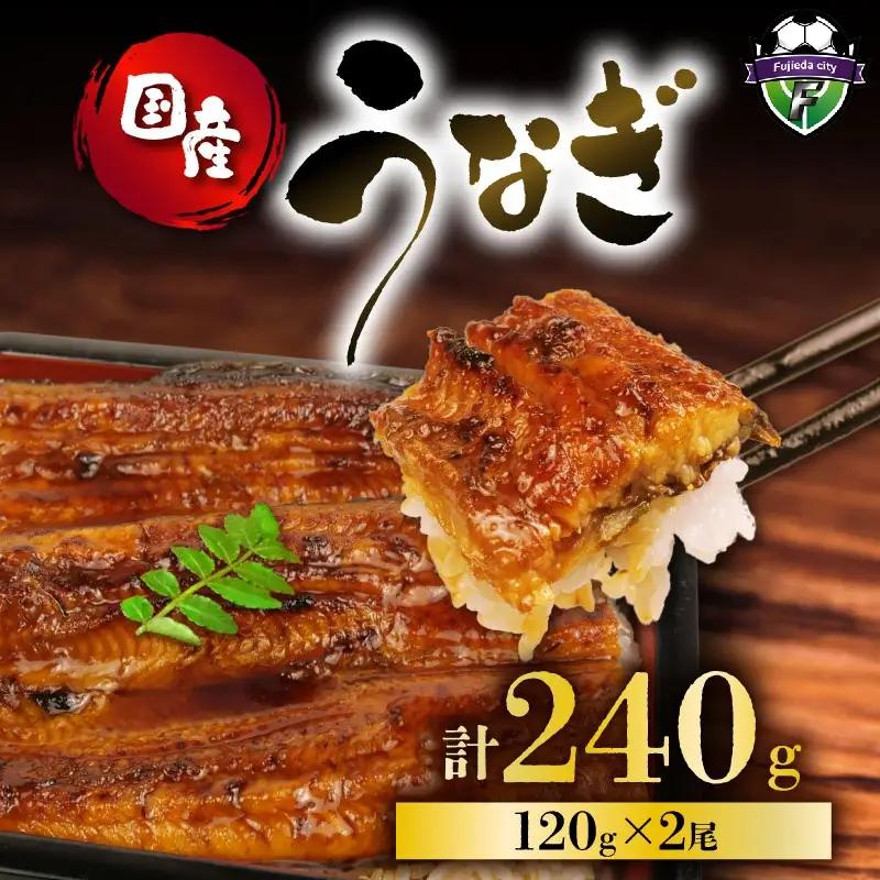 国産 うなぎ蒲焼 240g うなぎ 鰻