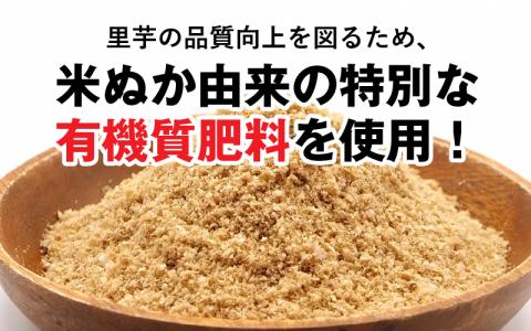 【先行予約】【満天☆青空レストランでご紹介】上田農園 上庄特産さといも 3kg【10月下旬～順次発送】
