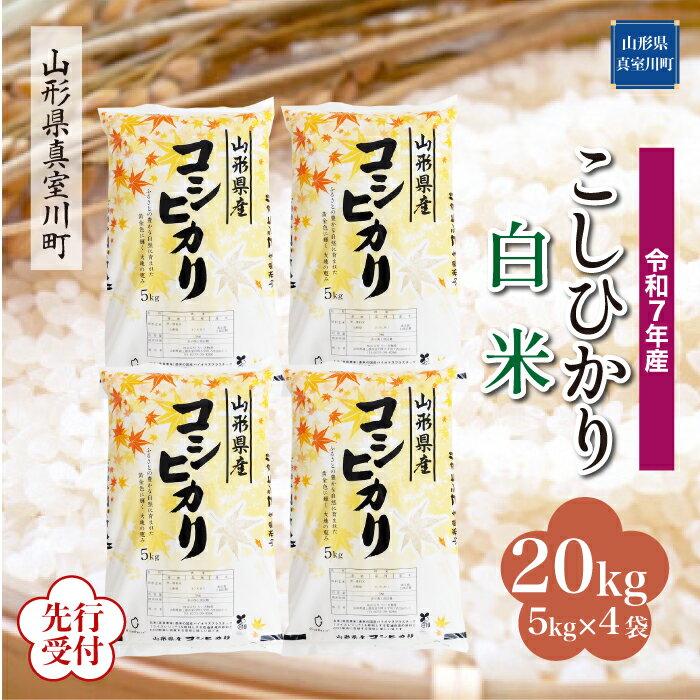 【ふるさと納税】 ※先行受付※ 令和7年産 真室川町厳選 コシヒカリ ［白米］ 20kg（5kg×4袋）