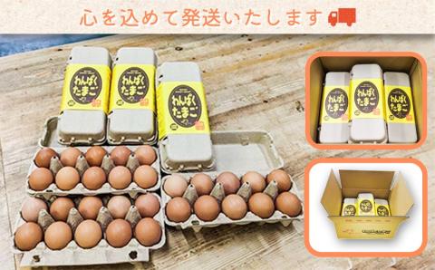 太陽の下放し飼いわんぱく卵「10個入×3パック」