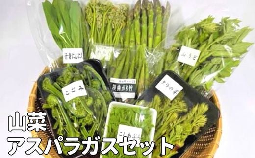 【期間限定！先行予約】来春発送!! 山菜・アスパラガスセット