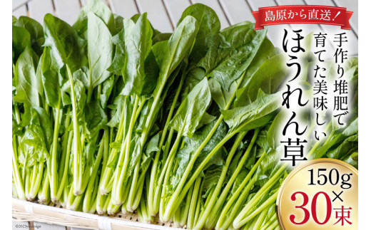 
【BH011】ほうれん草 150g×30束
