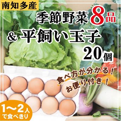 ふるさと納税 南知多町 さとの平飼い玉子20個&amp;季節の野菜セット