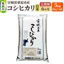 【ふるさと納税】《定期便6ヶ月》【令和6年産・白米】宮城県栗原産 コシヒカリ 毎月5kg (5kg×1袋)×6ヶ月