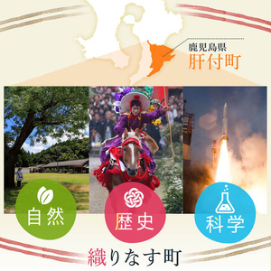 【A02046】黒豚餃子セット(12個入×10パック) 鹿児島 国産 九州産 自家農場 黒豚 黒ぶた 豚肉 冷凍 餃子 ギョーザ ぎょうざ おかず 惣菜【和田養豚】