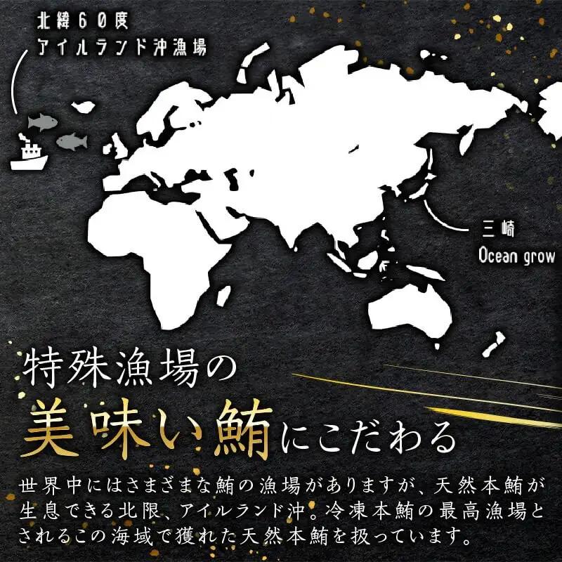 天然 本鮪 中とろ 2柵 ・ 赤身 2柵 M007-008-01 冷凍 マグロ