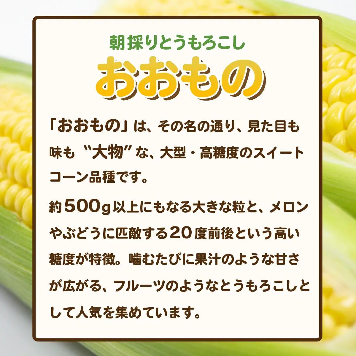 とうもろこし おおもの 約6kg 茨城県産 トウモロコシ