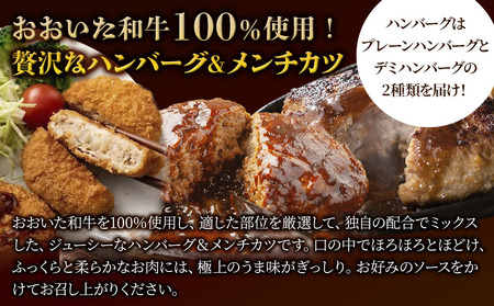 おおいた和牛100% ハンバーグ＆メンチカツセット 合計約1.4kg | 津久見市