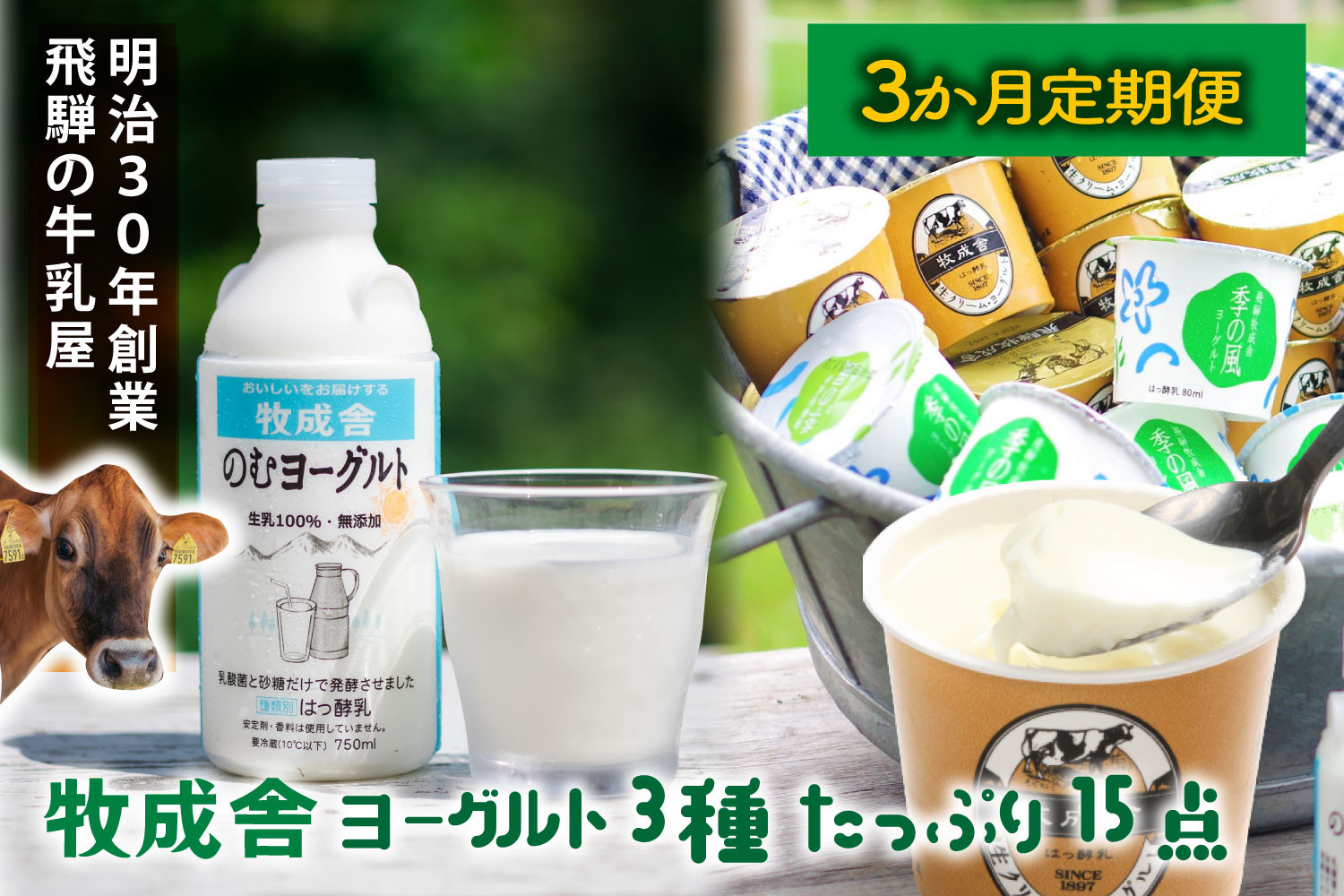 【3か月定期便】牧成舎のヨーグルトたっぷりセット｜のむヨーグルト750ml×3本・生クリームヨーグルト×6個・季の風ヨーグルト×6個｜飛騨産生乳使用・お取り寄せ 飛騨高山 ｜(有)牧成舎 DF240