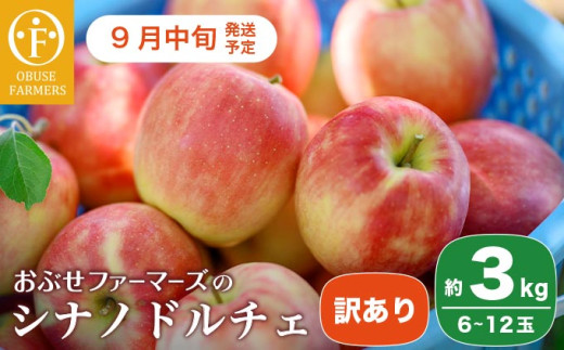 【訳あり】シナノドルチェ 約3kg 6～12玉 ［ おぶせファーマーズ ］ 数量限定 期間限定 果物類 林檎 りんご リンゴ 規格外 不揃い フルーツ 長野県産 信州産 令和7年産  【2025年9月中旬発送】 ［FH-56］