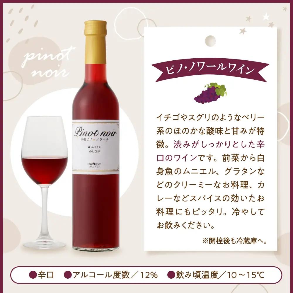 ピノ・ノワールワイン 500ml×2本セット ワイン フルーツワイン