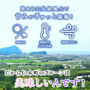 プルーンフルーツ 峠のふもと紅果園 品種おまかせ 北海道産 プルーン【約2kgサイズ混合】
