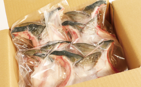 ブリカマ 2切れ × 4パック 10000円 冷凍 サイズ 不揃い ぶりかま ぶりカマ 鰤かま 少額 食べ物 旬 お手軽 魚海鮮 魚介 父の日 小分け 真空 パック 新鮮 鮮魚 養殖 国産 鰤 ぶり 