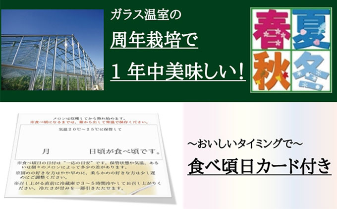 数量限定 メロン 静岡 『クラウンメロン 富士等級 2玉』 【桐箱入】 マスクメロン 果物 フルーツ ギフト 贈答 高級 デザート おやつ 