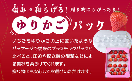 【先行予約】数量限定！あまい果汁溢れる！最高級品質”さがほのか” たっぷり1.9kg（235g×8p）