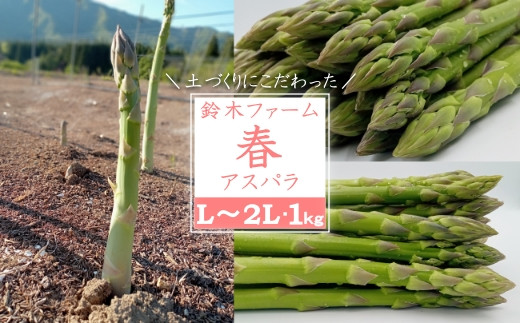 【2025年5月発送分先行受付】鈴木・ファームの春アスパラ（L～2Lサイズ・1kg）_H116(R7)