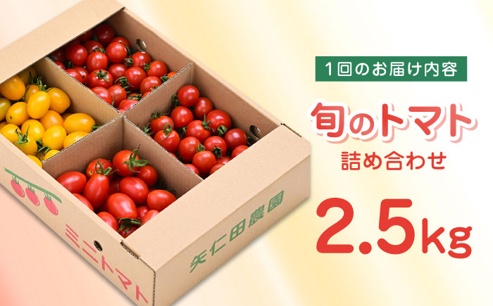 【全2回定期便】【期間限定】熊本県産 減農薬栽培 トマト ミディトマト 2.5kg 詰め合わせ 食べ比べ【矢仁田農園】 [YDE008]