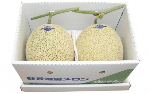 【11月末～12月中旬発送】鹿児島県産 砂丘メロン「加世田アールスメロン」2玉 化粧箱入り 果物 フルーツ JA南さつま