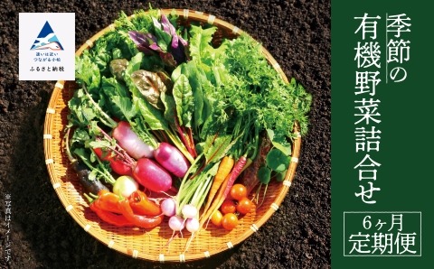 西田農園　季節の有機野菜詰合せ　6ヶ月定期便  060011