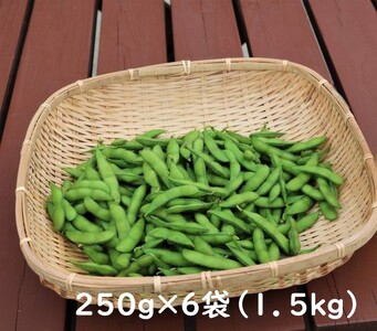 採れたて新鮮！！　高山村の枝豆　1.5kｇ