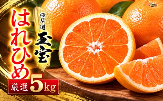 ＜愛媛名産＞玉宝はれひめ　5kg＜C64-71＞【1621813】 YWTY060