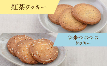 【ギフトBOX】焼き菓子8種　詰め合わせセット 桂川町/order made cake Toi Toi[ADAW002]