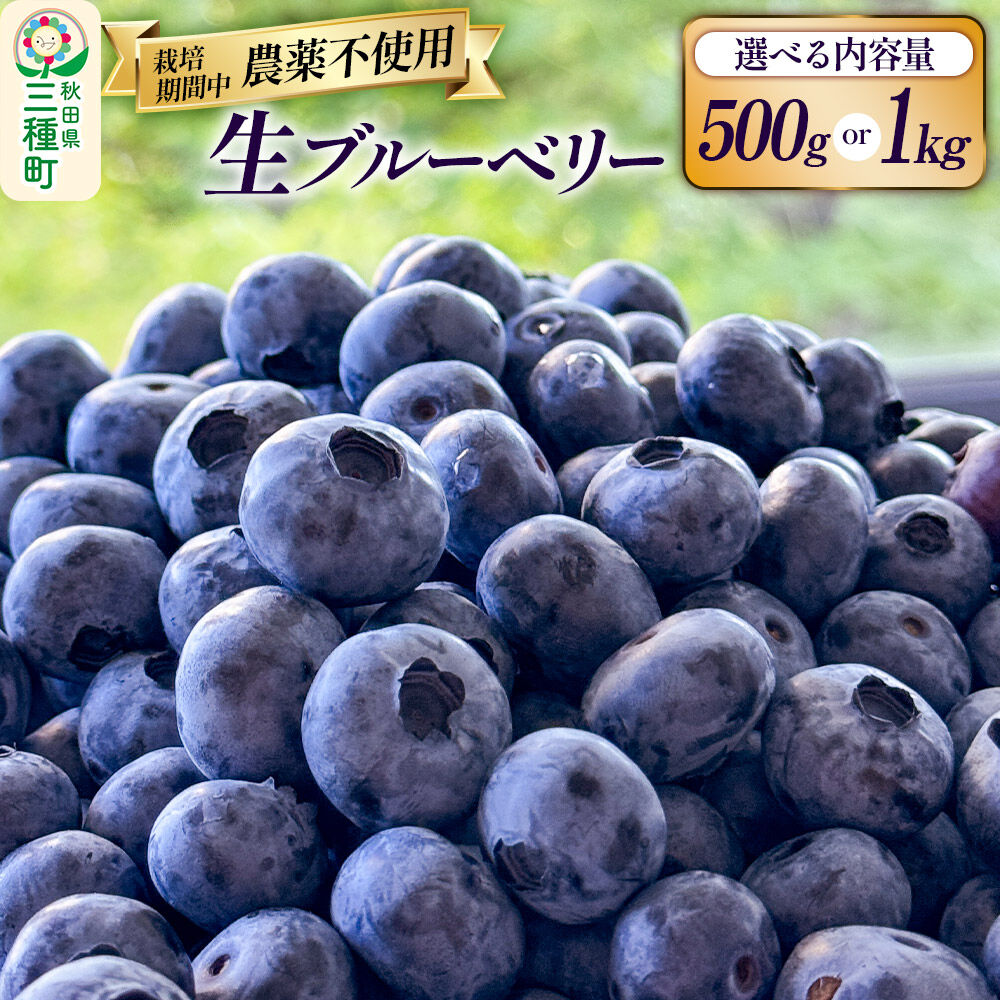 【ふるさと納税】ブルーベリー 【選べる内容量 500g／1kg】秋田県山本郡三種町産 [鮮度抜群 生 ブルーベリー スイーツ ビタミン 食物繊維 ヨーグルト サラダ フルーツ 果物 国産]