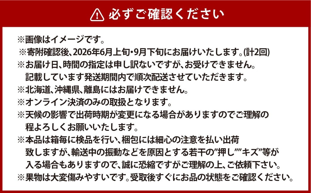 KOJIMA GENESキーホルダー＋家庭用晴王 2房（1房約約530g以上）