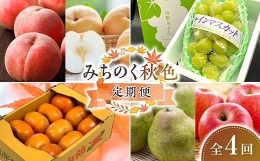 【先行予約令和8年発送】 みちのく“秋色”定期便 全4回  もも モモ 桃 デザート フルーツ 果物 くだもの 果実 食品 山形県 FSY-2663