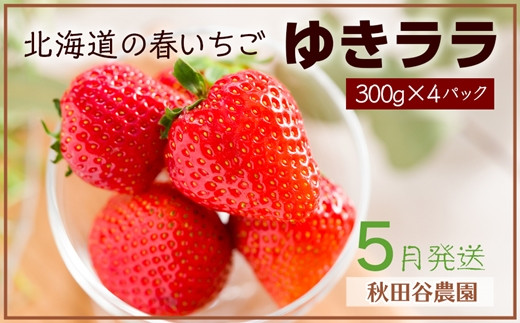 
            2023年5月発送！北海道の春いちご☆ゆきララ 300g×4パック【秋田谷農園】【20110】
          